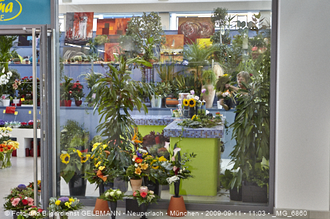 09.09.2009 - unser Einkaufszentrum life im Plettzentrum hat heute eröffnet.