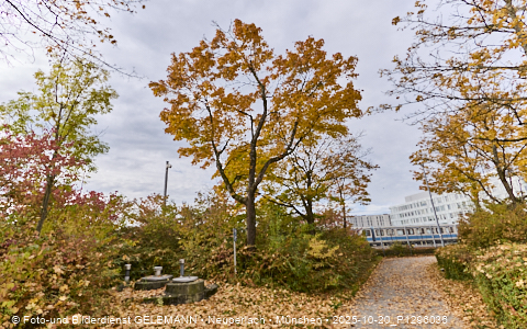 20.10.2025 - REVO, Siemens, Carl-Wery, S-Bahn, Neuperlach-Süd