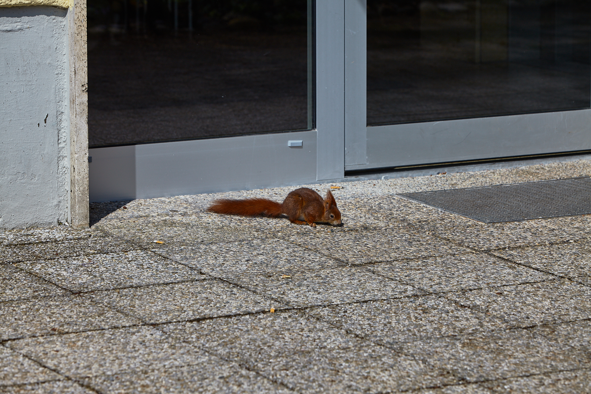 Plettzentrum-Abrissarbeiten am 17.04.2012